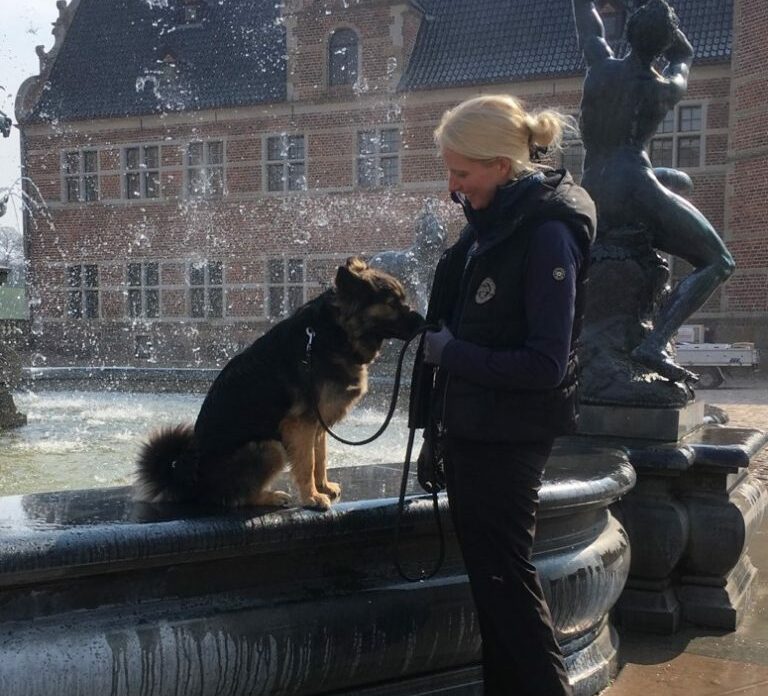 Hundetræning København og i Nordsjælland - din private hundetræner