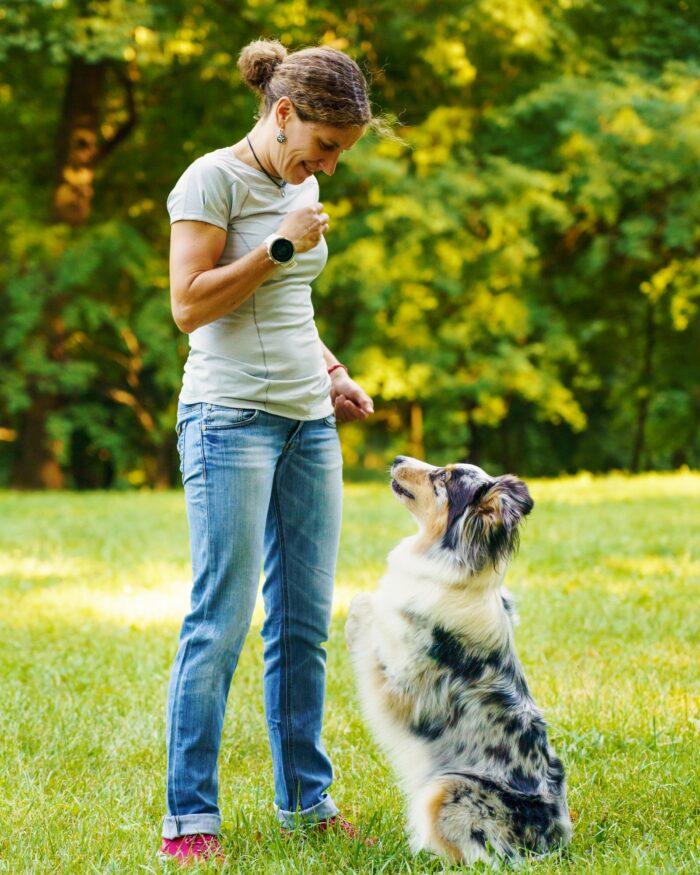 Hundetræning Lyngby & hvalpetræning Lyngby ‖ Privat hundetræner - Hunde-Liv's hundetræner Lyngby tilbyder hundetræning privat og i hold
