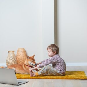 Online Hundetræning 100% skræddersyet Lille pakke