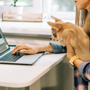 Online Hundetræning
