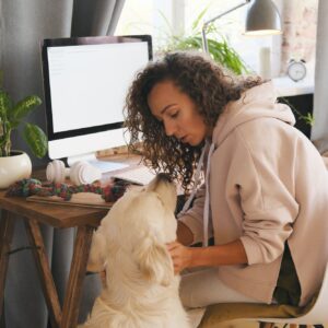 Online Hundetræning 100% skræddersyet mellem pakke